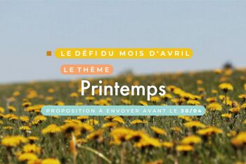 Objectif cratif du mois EdaaPix