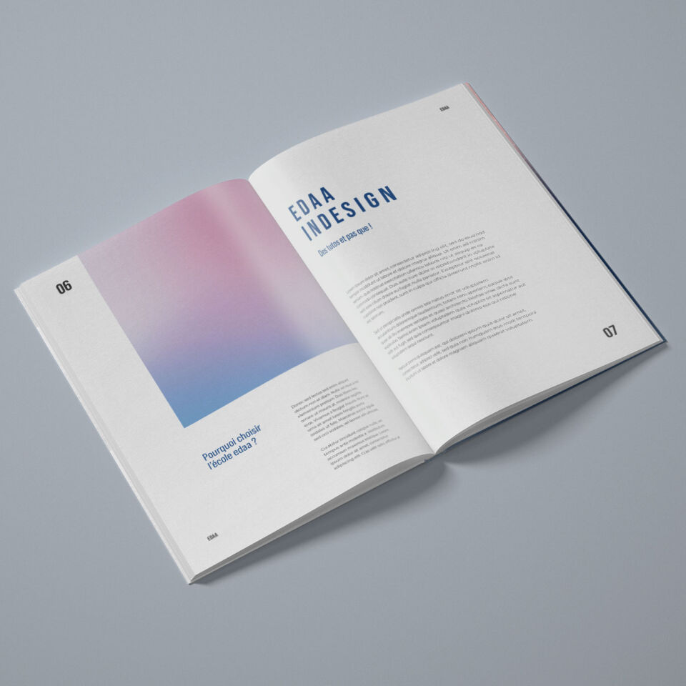 Domaines �valu�s par le TOSA InDesign