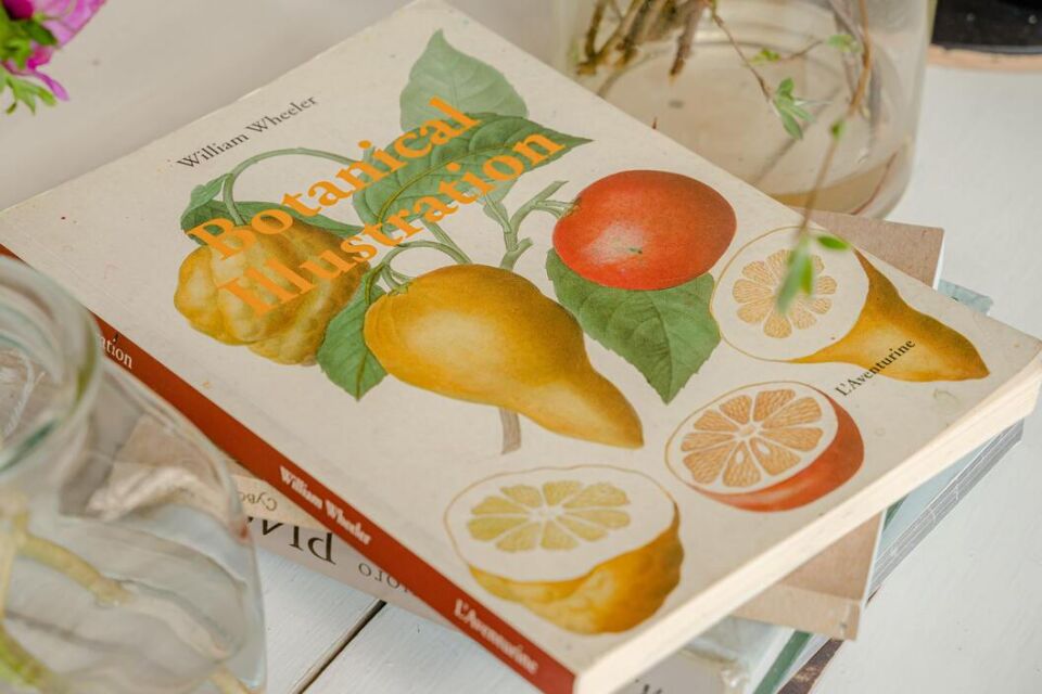 L'ILLUSTRATEUR MÉDICAL, SCIENTIFIQUE ET