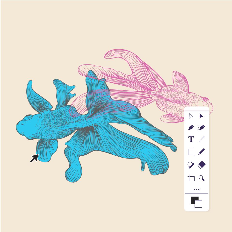 autres domaines de comp�tences tossa