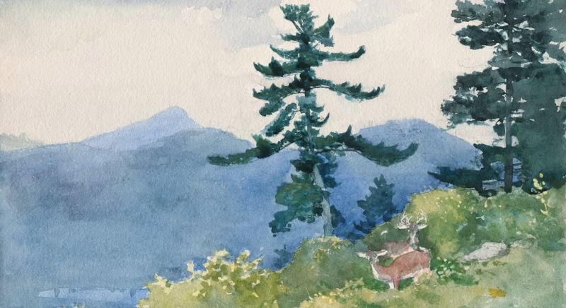 aquarelle