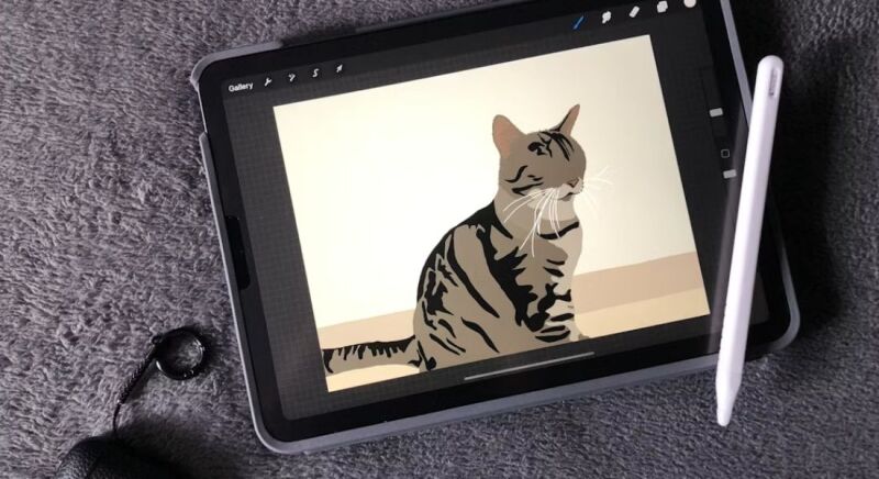 ipad procreate