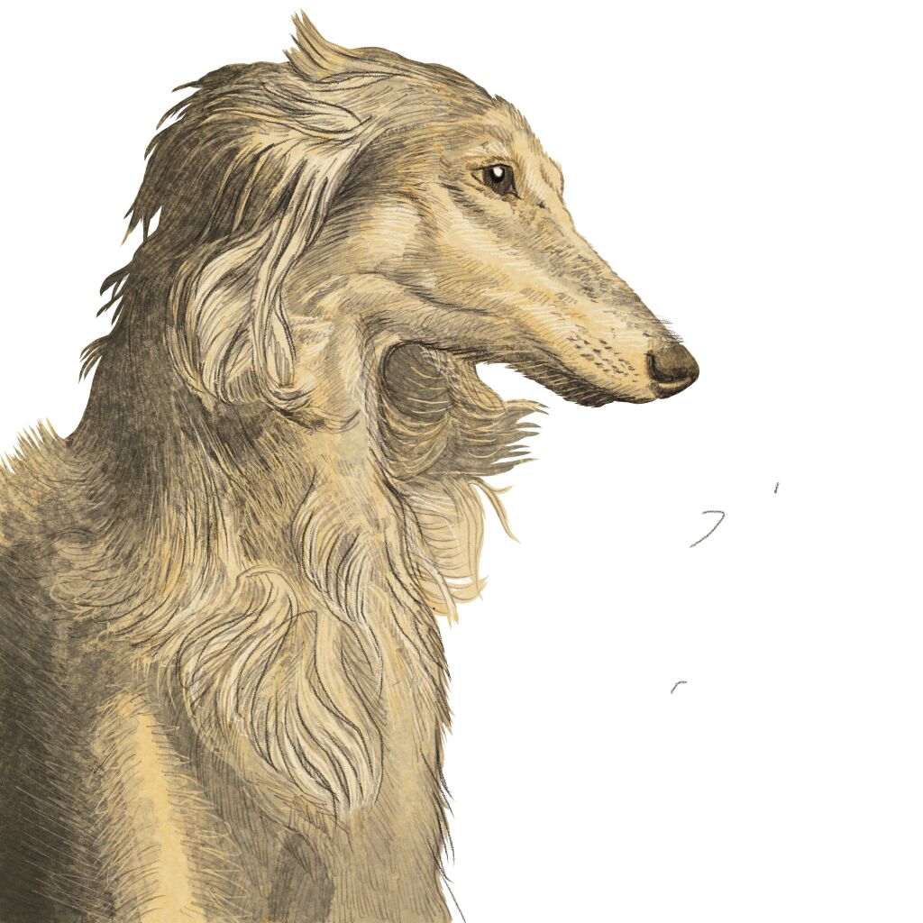Illustration d'un chien ralise par Isabelle en formation  l'edaa