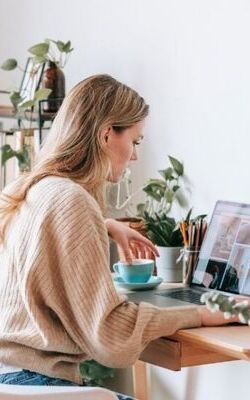 vignette statuts freelance