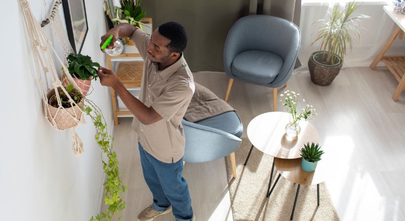 home stager