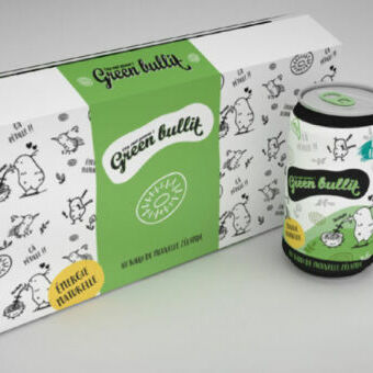 Projet en graphisme : Green Bullit